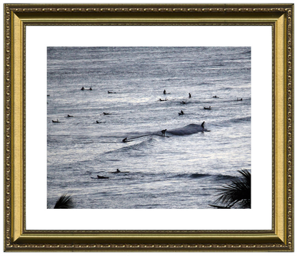 Framed artwork of a whale in the ocean with surfers, framed in gold.