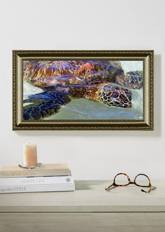 Framed painting of a turtle on a wall above books and glasses.