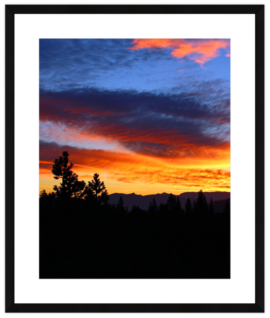 Sunset over a forest with silhouetted trees and vibrant sky.