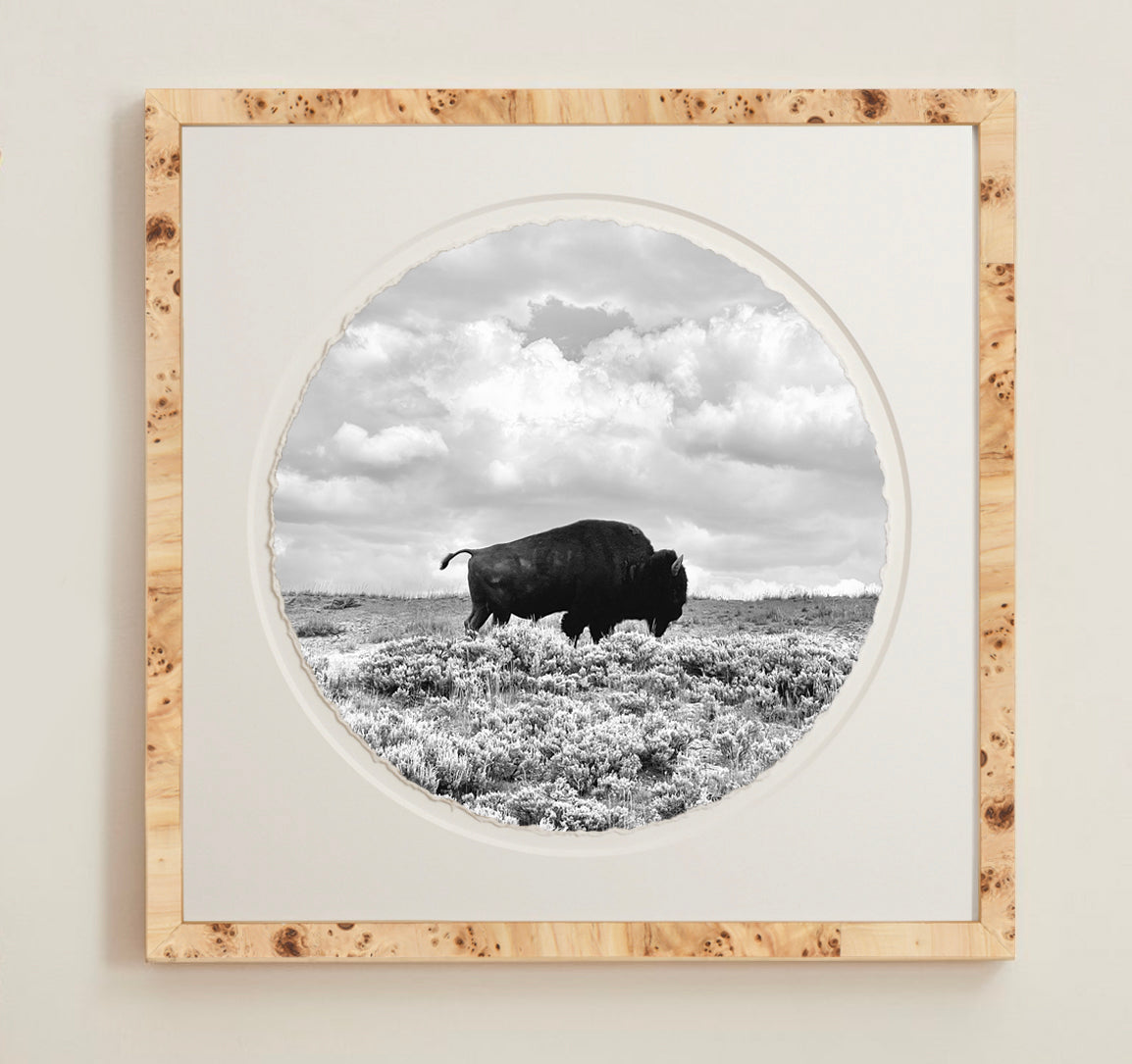 A collection of framed artwork prints with a deckled edge appearance, displayed in two museum style frames named Light Burlwood and Dark Burlwood. The frames are pictured in various sizes with a white mat and clear acrylic front.