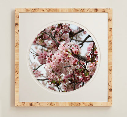 A collection of framed artwork prints with a deckled edge appearance, displayed in two museum style frames named Light Burlwood and Dark Burlwood. The frames are pictured in various sizes with a white mat and clear acrylic front.