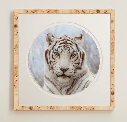 A collection of framed artwork prints with a deckled edge appearance, displayed in two museum style frames named Light Burlwood and Dark Burlwood. The frames are pictured in various sizes with a white mat and clear acrylic front.