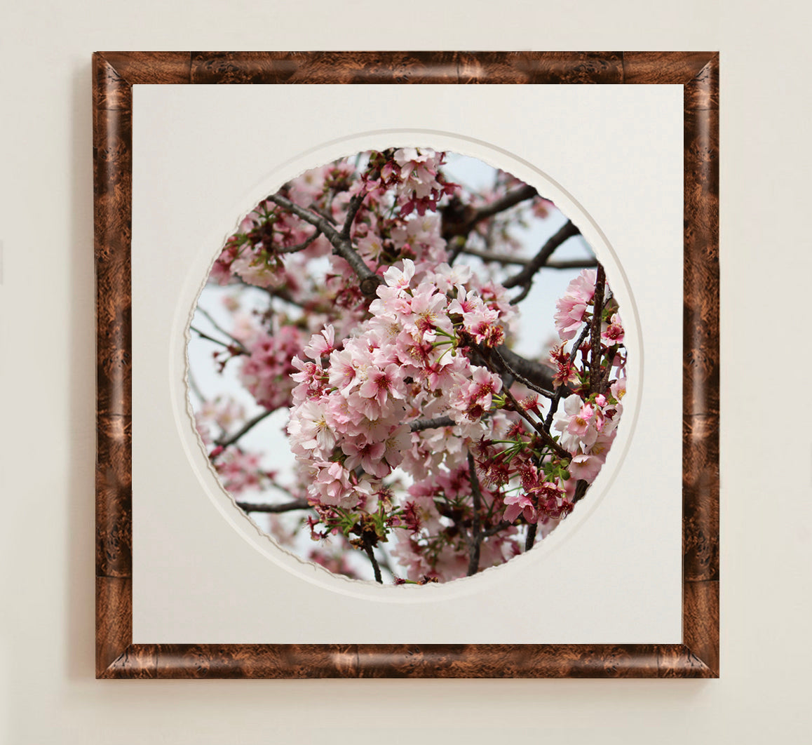 Framed photograph of cherry blossoms with a wooden border.A collection of framed artwork prints with a deckled edge appearance, displayed in two museum style frames named Light Burlwood and Dark Burlwood. The frames are pictured in various sizes with a white mat and clear acrylic front.