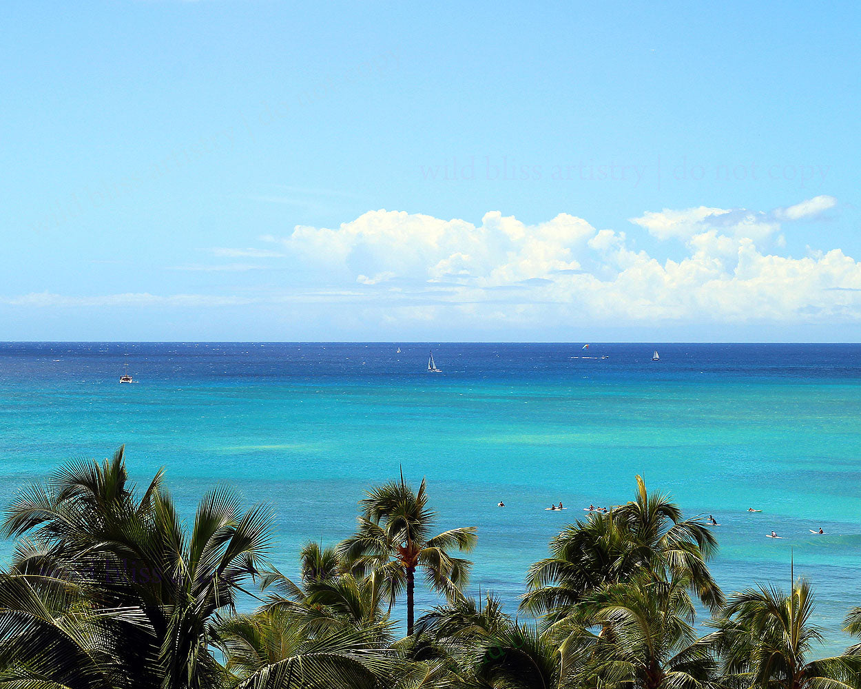 teal ocean, palm trees in forefront with clear blue sky