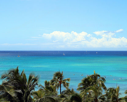 teal ocean, palm trees in forefront with clear blue sky