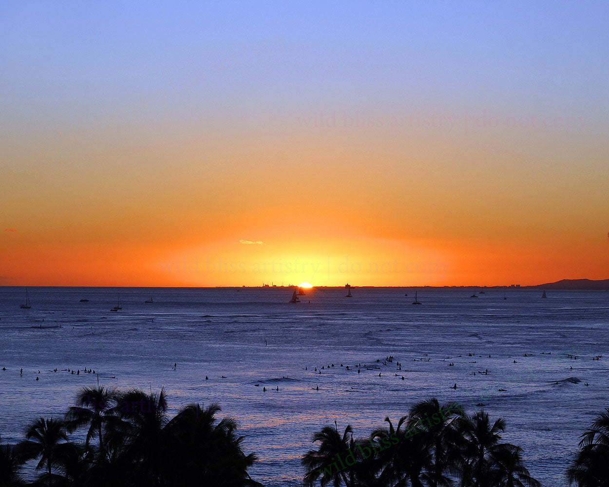 orange sunset with ocean and palm trees in the forefront 