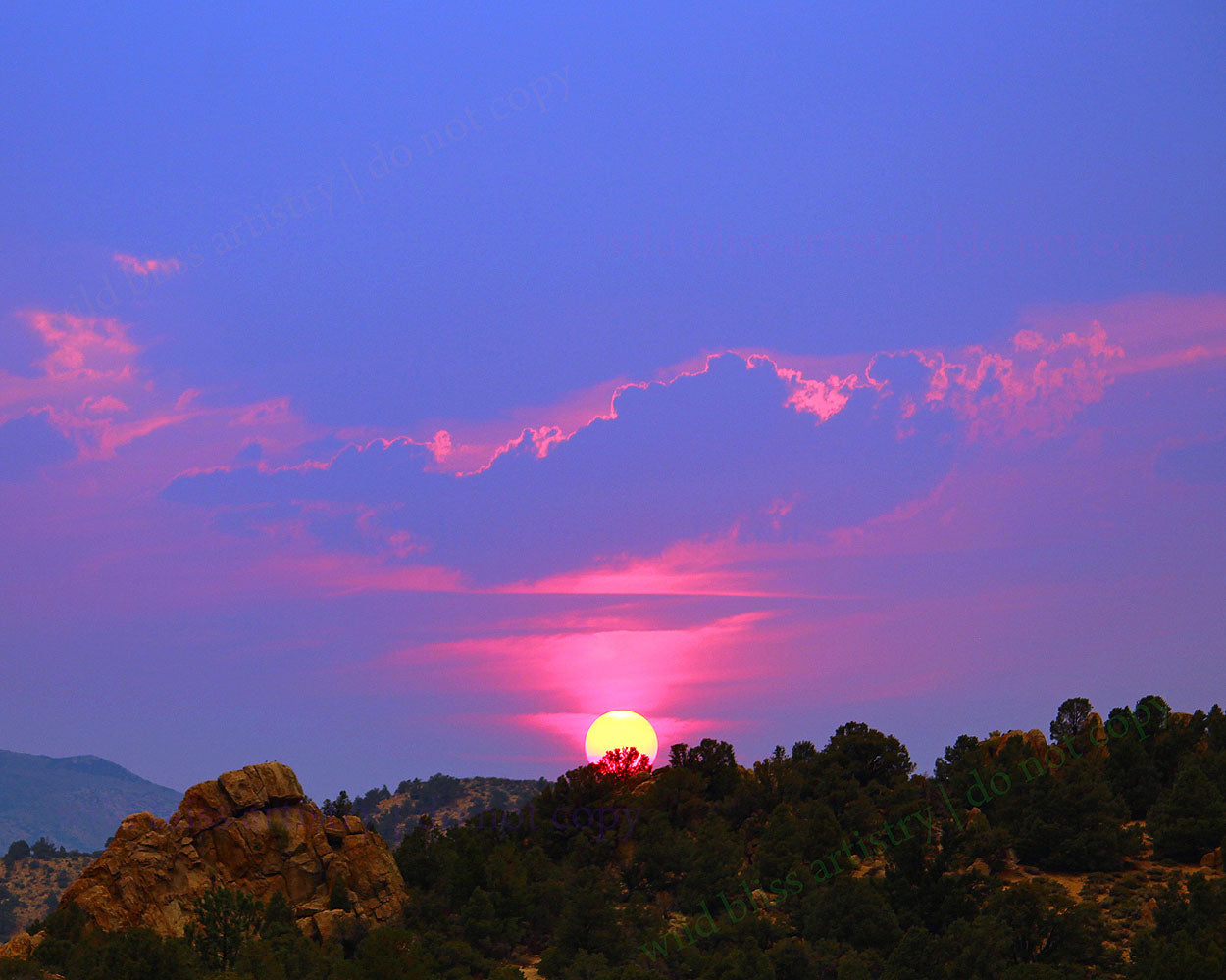 pink and periwinkle sunset, sun setting behind the trees