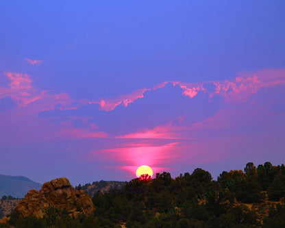 pink and periwinkle sunset, sun setting behind the trees