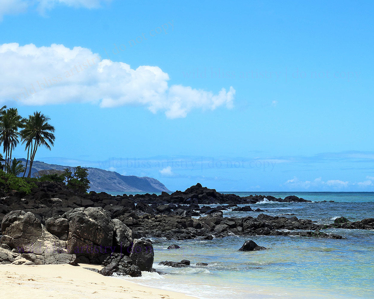 Hawaii Beach with ocean and rocks